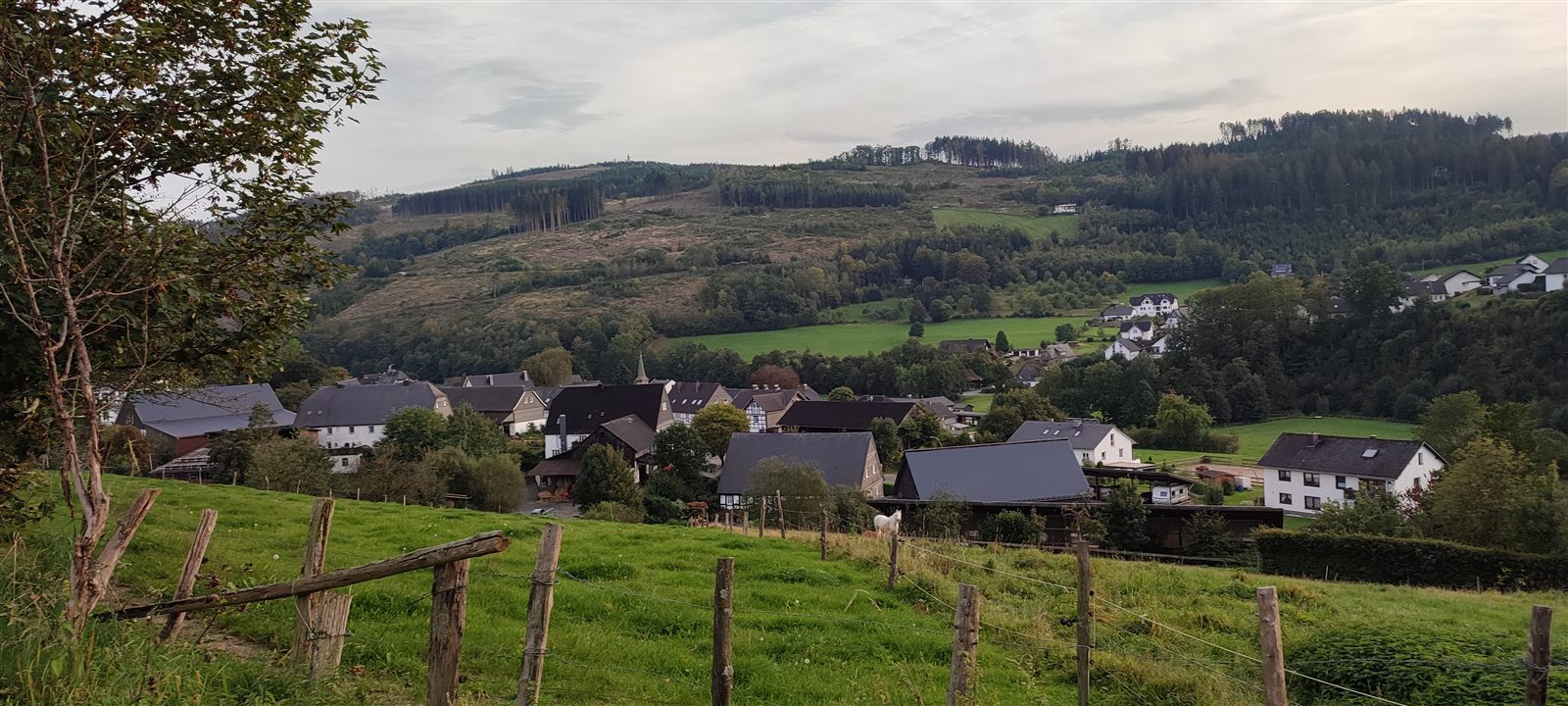 Blick über die grünen Hügel rund um Fleckenberg